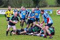 Perennials_at_Monaghan_01_12_2013 (7)